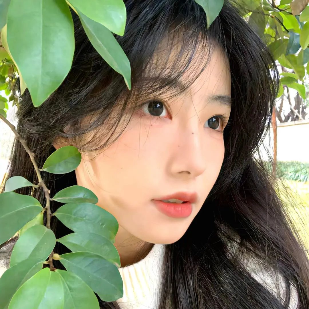 木偶新知